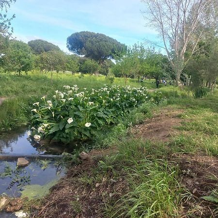 Appartamento A Casa Di Mori Roma Esterno foto