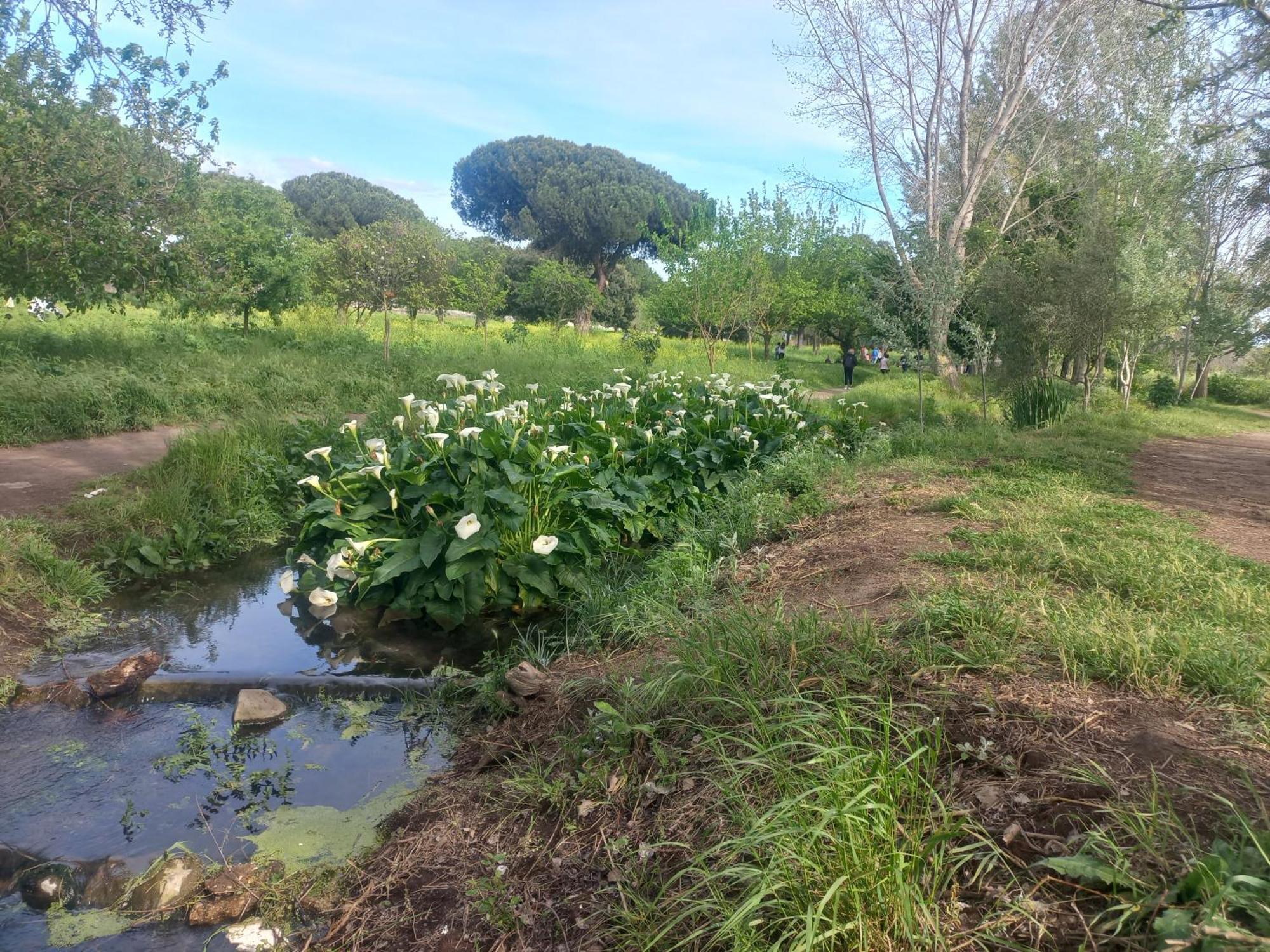 Appartamento A Casa Di Mori Roma Esterno foto