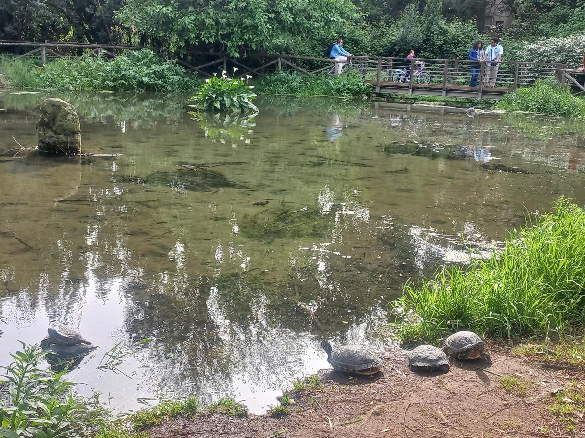 Appartamento A Casa Di Mori Roma Esterno foto